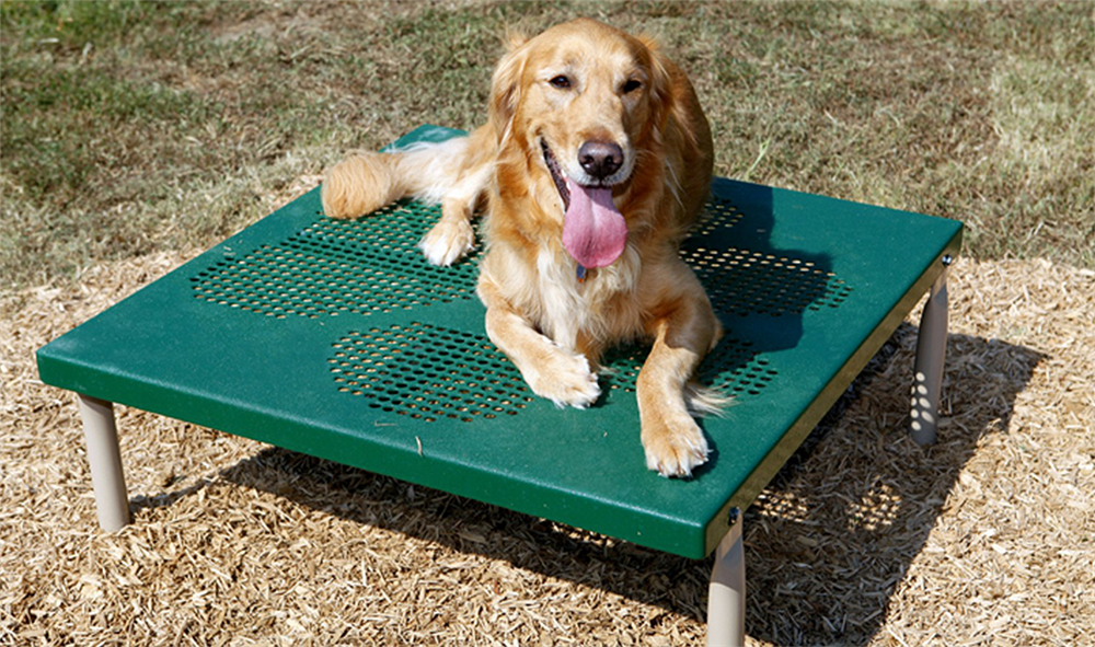 Dog Table for Dog Parks 